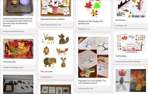 Pinterest - Autumn Leaf Unit Study