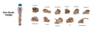 Dino Skulls TOOB Key (Image from Safari Ltd.)