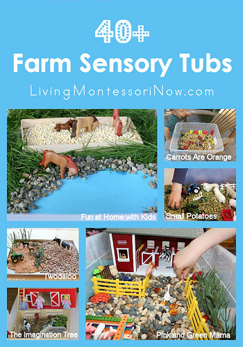 40+ Farm Sensory Tubs