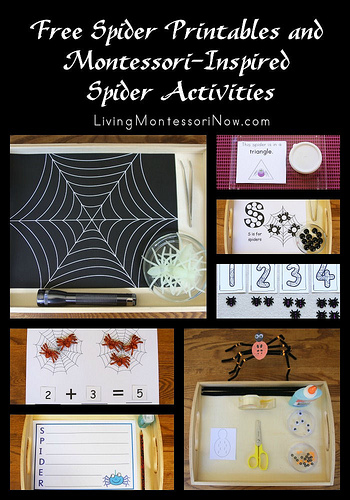 Free Spider Printables and Montessori-Inspired Spider Activities