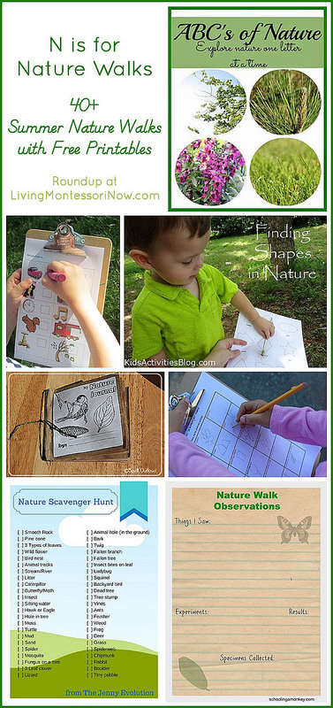 N is for Nature Walks with Free Printables