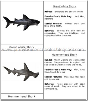 Shark Matching and Fact Cards (Image from The Pinay Homeschooler)