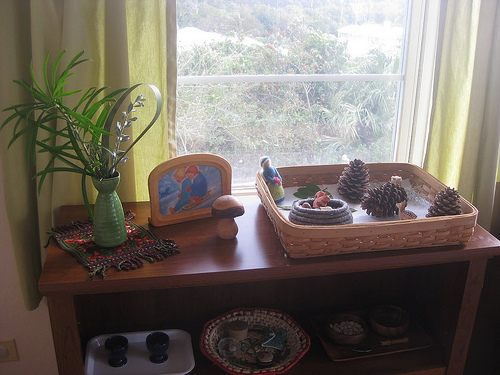 Nature Shelf (Photo from Counting Coconuts)
