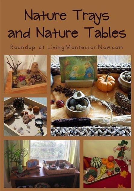 Nature Trays and Nature Tables