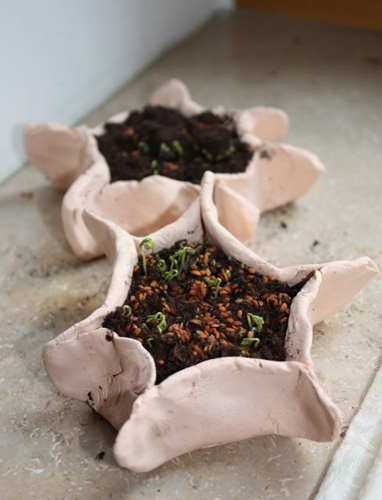 Growing Cress for Parable of the Sower (Photo from Explore and Express)