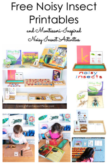 Free Noisy Insect Printables and Montessori-Inspired Noisy Insect Activities
