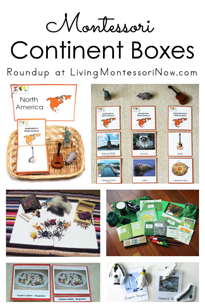 Montessori Continent Boxes