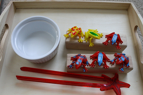 Using Chopsticks to Transfer Frogs to the Log (Photo by Julie at the Adventures of Bear)
