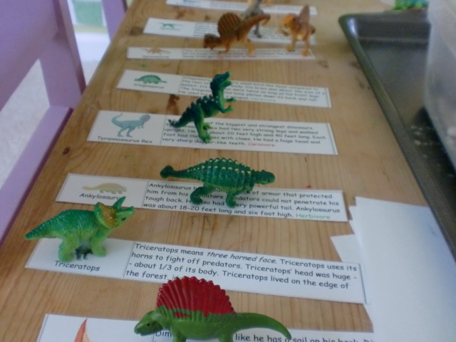 Matching Dinosaurs with Dinosaur Facts (Photo by Julie at The Adventures of Bear)