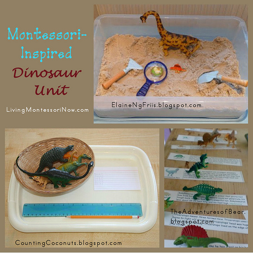 Montessori Monday - Montessori-Inspired Dinosaur Activities Using