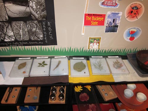 "Please Touch" Table with Leaves and Seeds (Photo from Barefoot in Suburbia)