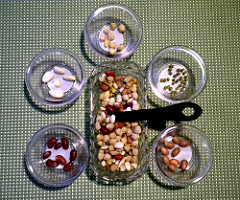 Sorting Beans and Spoon (Photo from Montessori at Home)