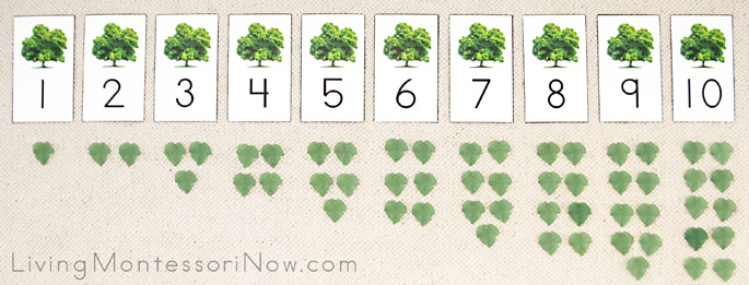 Maple Tree Cards and Counters