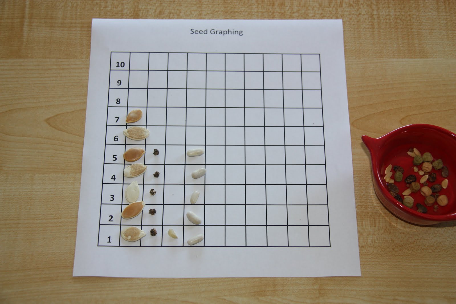Seed Graphing (Photo from Counting Coconuts)