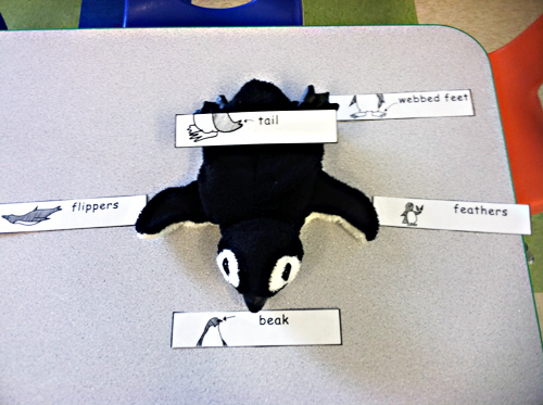 Labeling the Penguin Activity (Photo from Kidzone Teacher Mama)