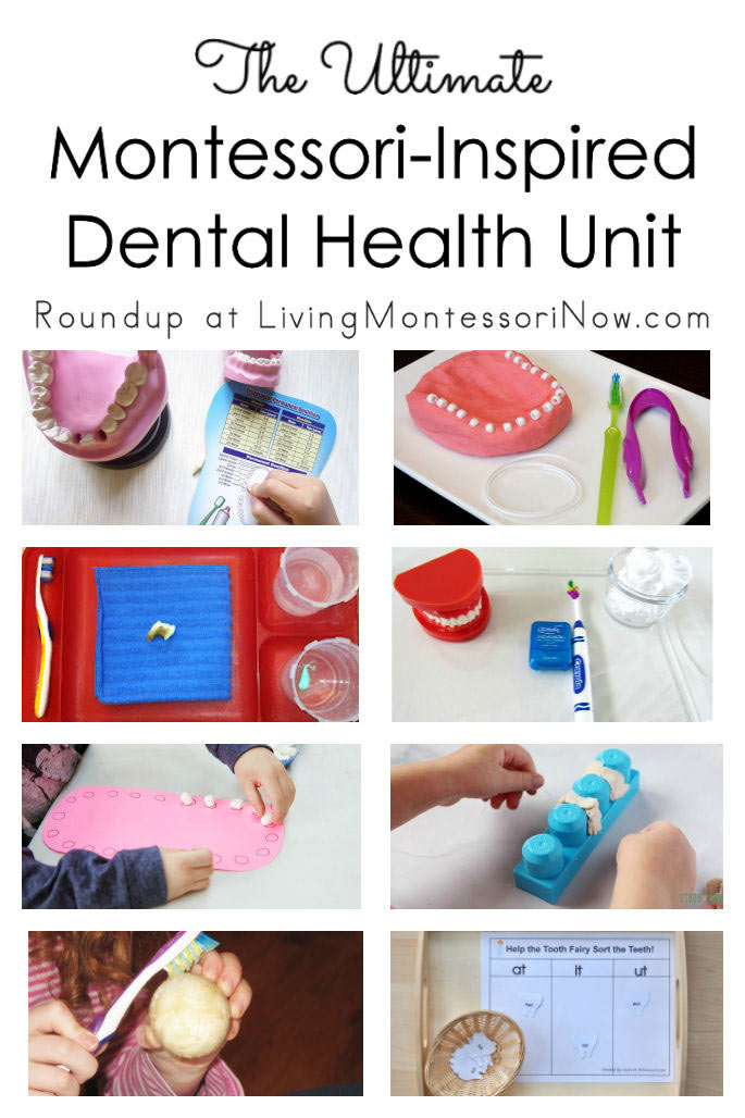 The Ultimate Montessori-Inspired Dental Health Unit