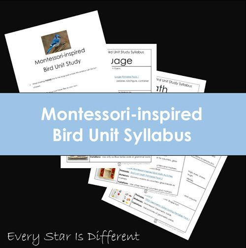 Montessori-Inspired Bird Unit Syllabus from Every Star Is Different
