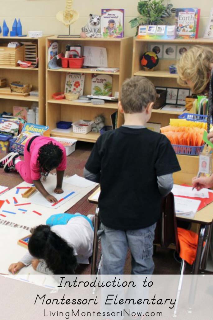 montessori elementary classroom