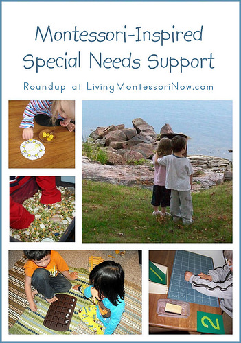 Montessori-Inspired Special Needs Support