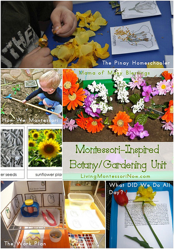 Montessori-Inspired Gardening/Botany Unit
