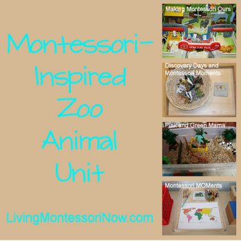 Montessori-Inspired Zoo Animal Unit