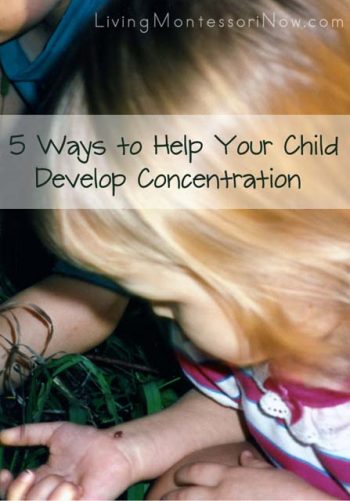 Help Your Child Develop Concentration