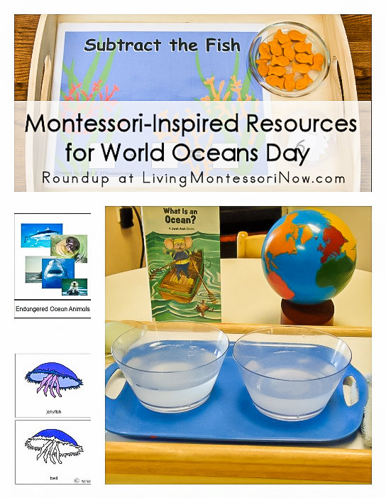 Montessori-Inspired Resources for World Oceans Day