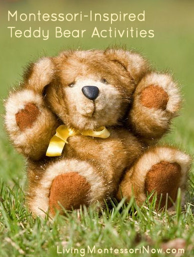 Montessori-Inspired Teddy Bear Activities