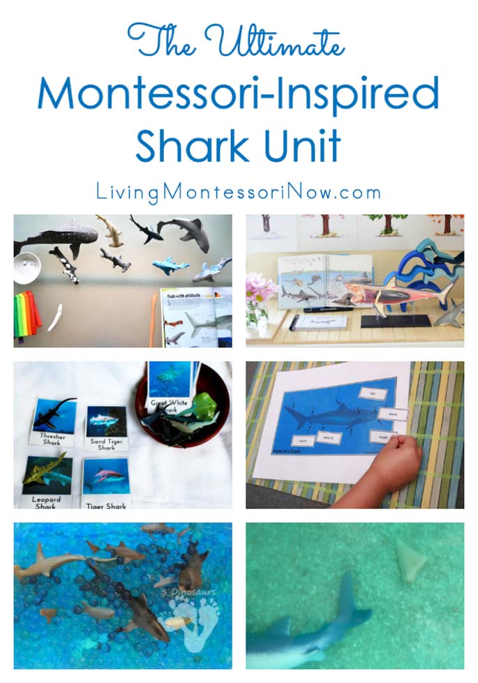 Shark Activities for Kids with Free Printables - Natural Beach Living