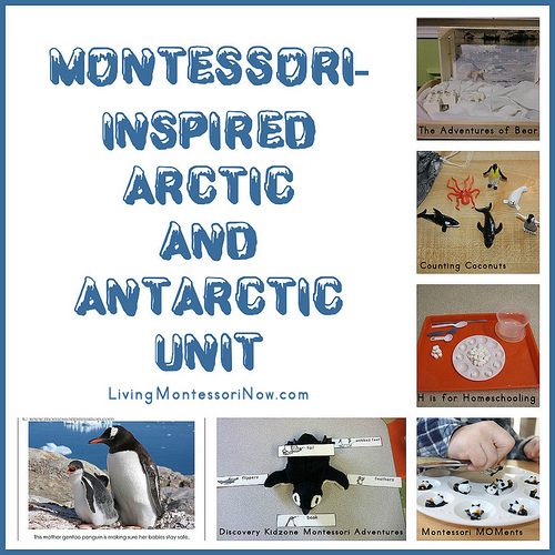 Montessori-Inspired Arctic and Antarctic Unit