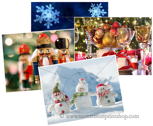 Free Winter Puzzles (Image from Montessori Print Shop)