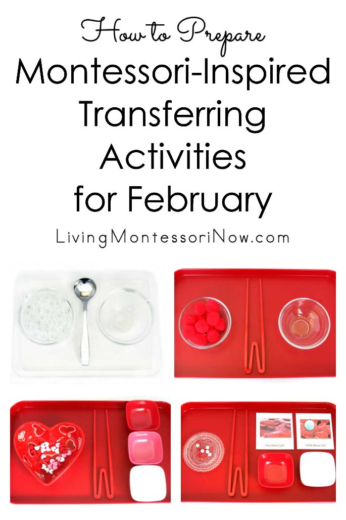 How to Prepare Montessori-Inspired Transferring Activities for February