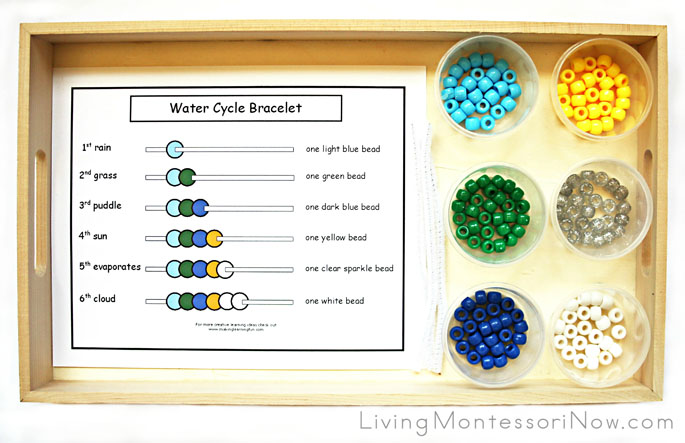 Water Cycle Bracelet Tray