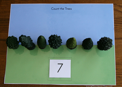 Count the Trees Activity