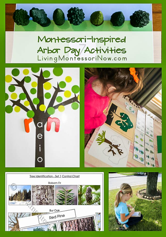 Montessori-Inspired Arbor Day Activities