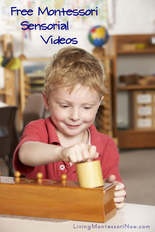 Free Montessori Sensorial Videos