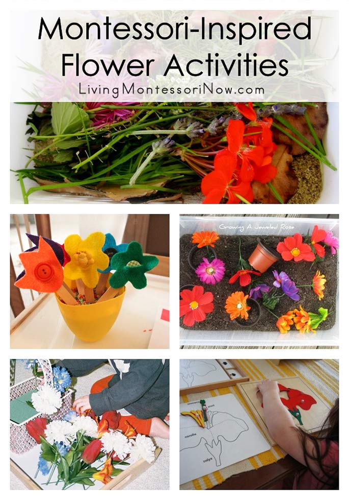 Montessori-Inspired Flower Activities