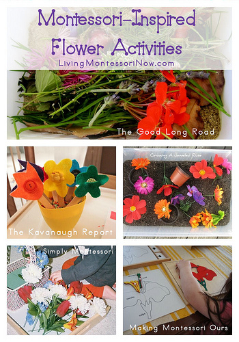 Montessori-Inspired Flower Activities