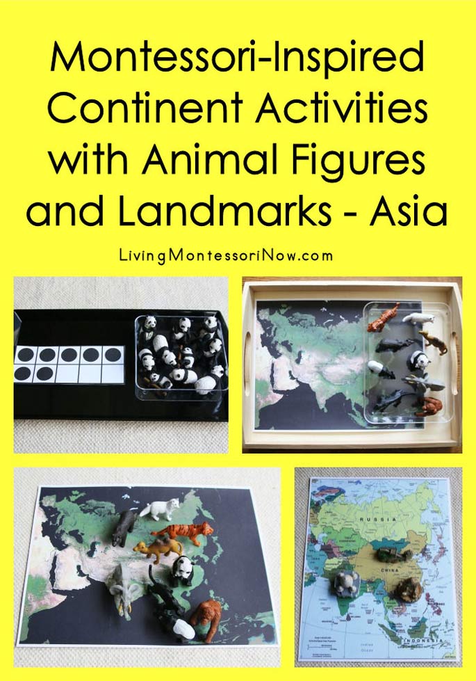 Montessori-Inspired Continent Activities with Animal Figures and Landmarks - Asia