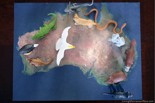 Animals on Satellite Map of Australia