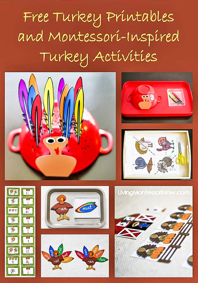 Free Turkey Printables and Montessori-Inspired Turkey Activities