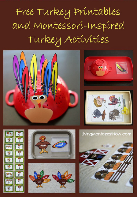 Free Turkey Printables and Montessori-Inspired Turkey activities