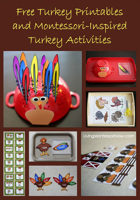 Free Turkey Printables and Montessori-Inspired Turkey Activities