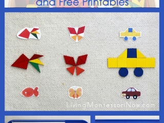 Montessori-Inspired Geometry Activities Using Wooden Shapes and Free Printables