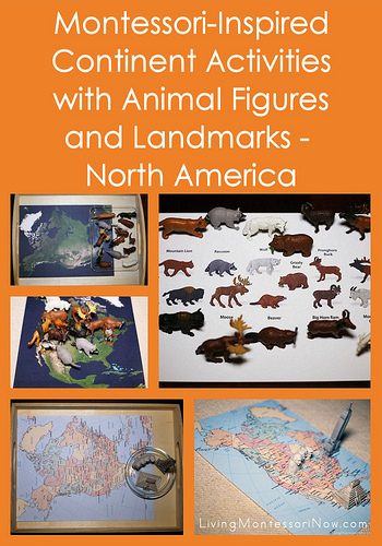 Montessori-Inspired Continent Activities with Animal Figures and Landmarks - North America
