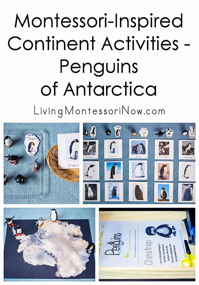 Montessori-Inspired Continent Activities - Penguins of Antarctica