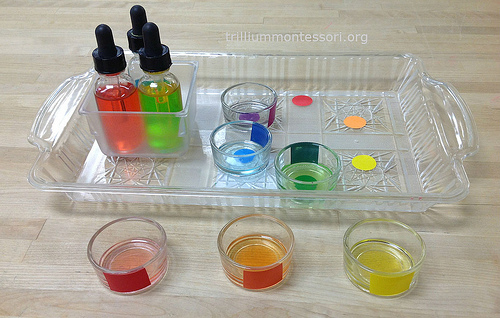 Color Mixing (Photo from Trillium Montessori)