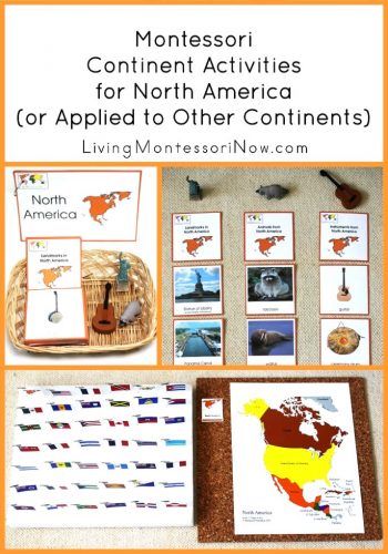 Montessori Continent Activities for North America
