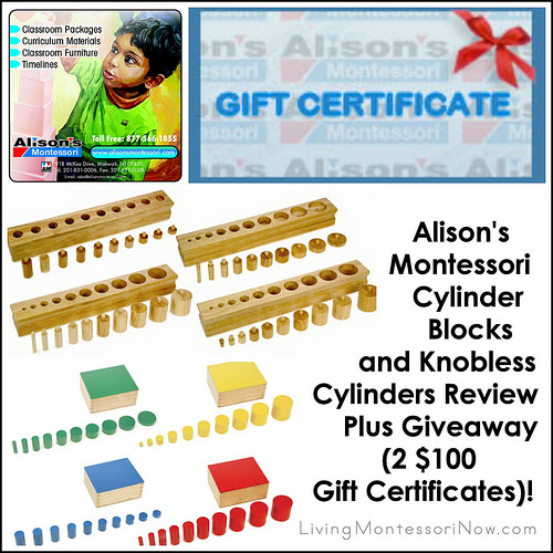 Alison's Montessori Cylinder Blocks and Knobless Cylinders Review Plus