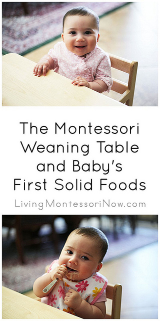The Montessori Weaning Table and Baby's First Solid Foods